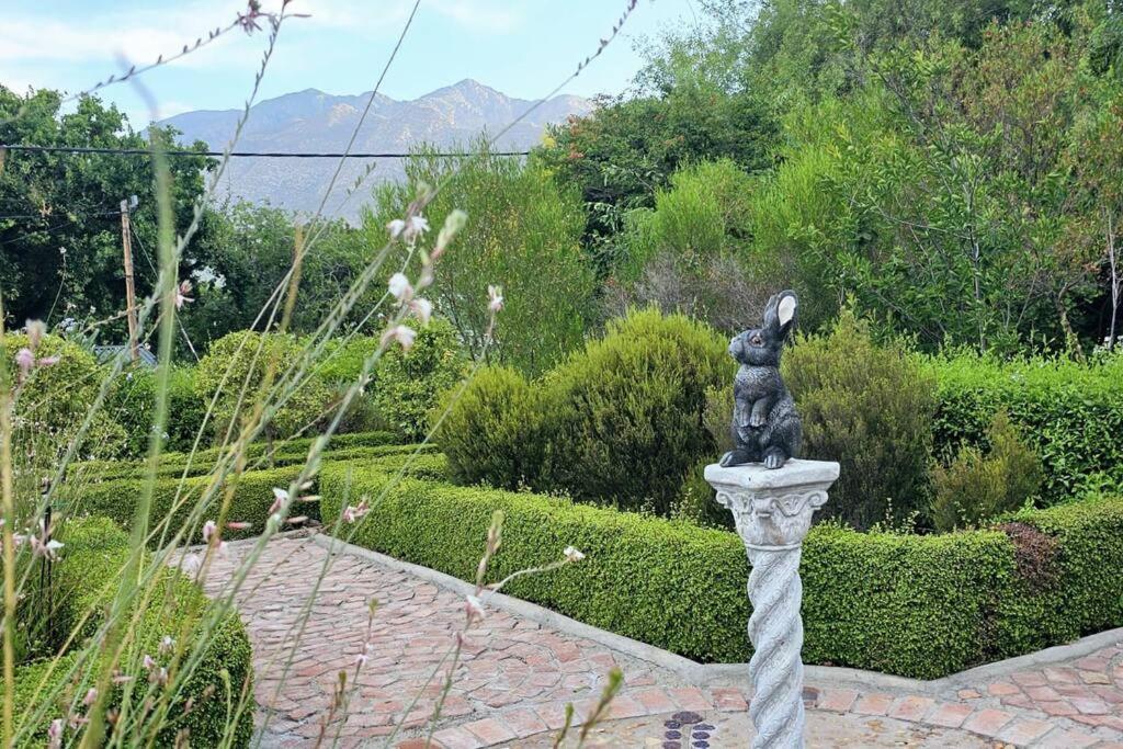 Grey Rabbit Cottage Montagu Kültér fotó