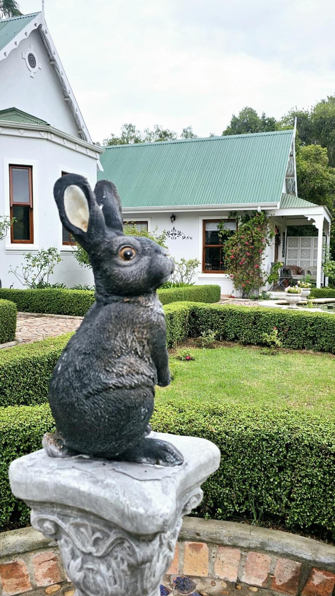 Grey Rabbit Cottage Montagu Kültér fotó
